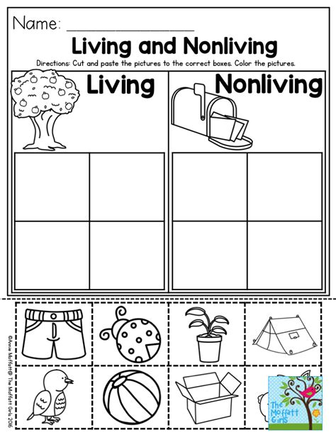 Living and Nonliving Things, Kindergarten Lesson Plan: Draw .